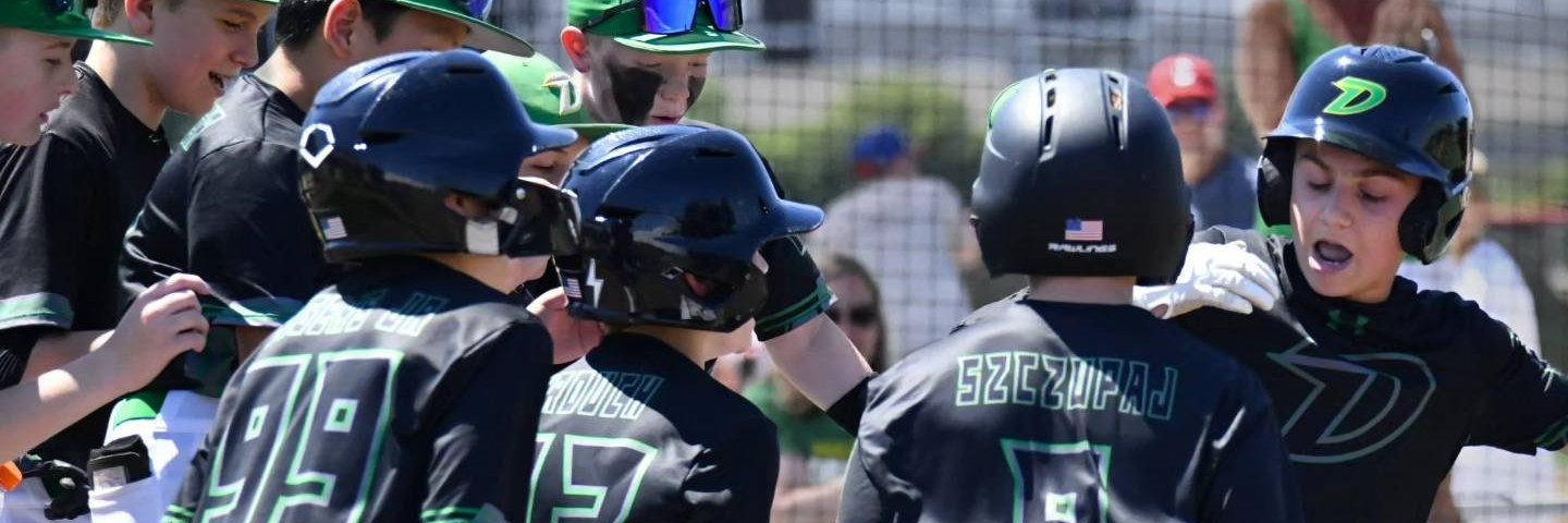 Ducks Academy banner