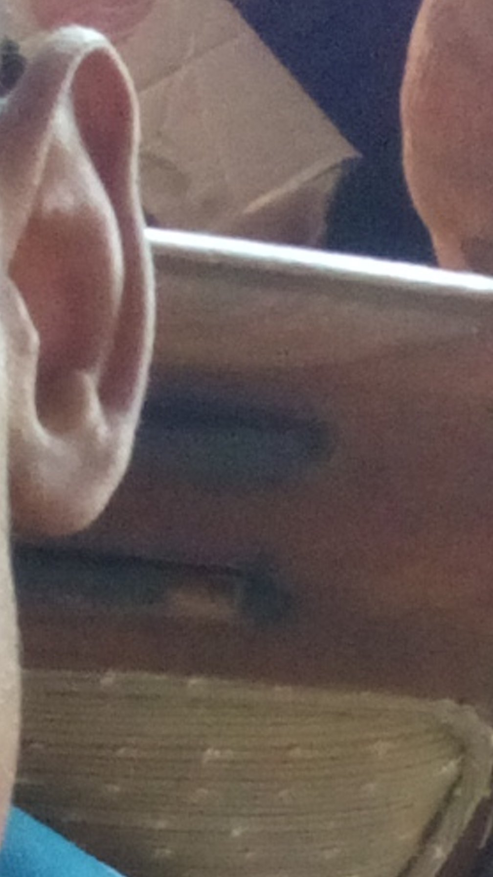 HolaCrazzy's profile banner image