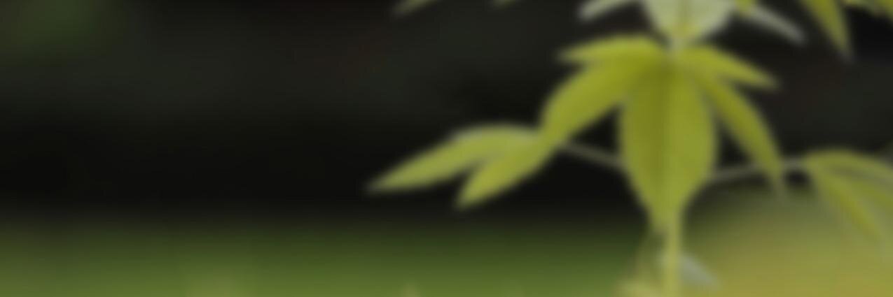 AltMedFL's profile banner image
