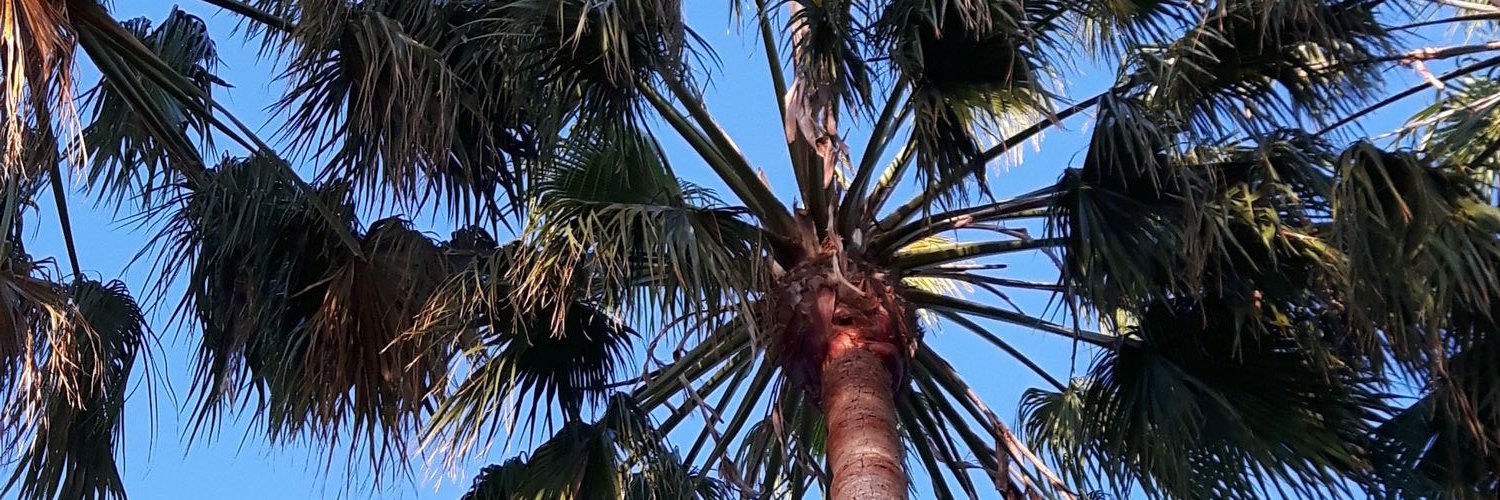 heather_scharf's profile banner image