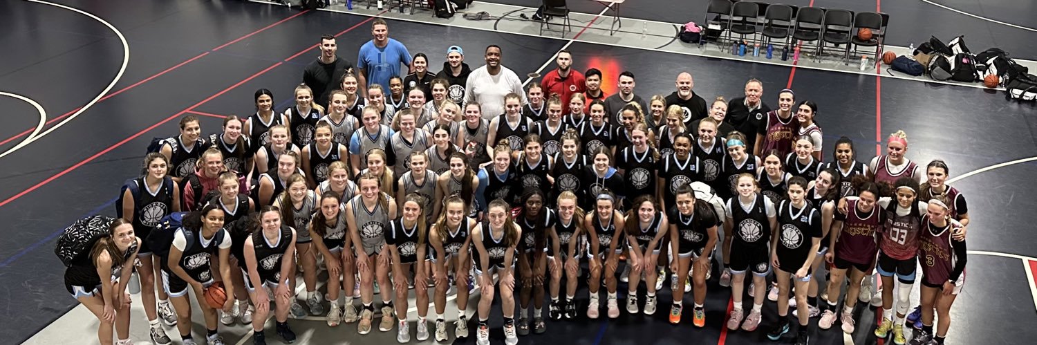 Michigan Mystics banner