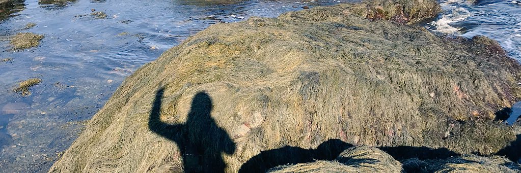 maclellan96's profile banner image