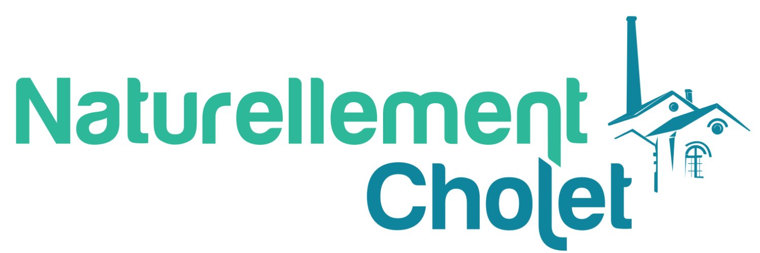 FLoiseauCholet's profile banner image