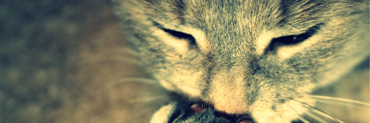 Lunatic_js's profile banner image
