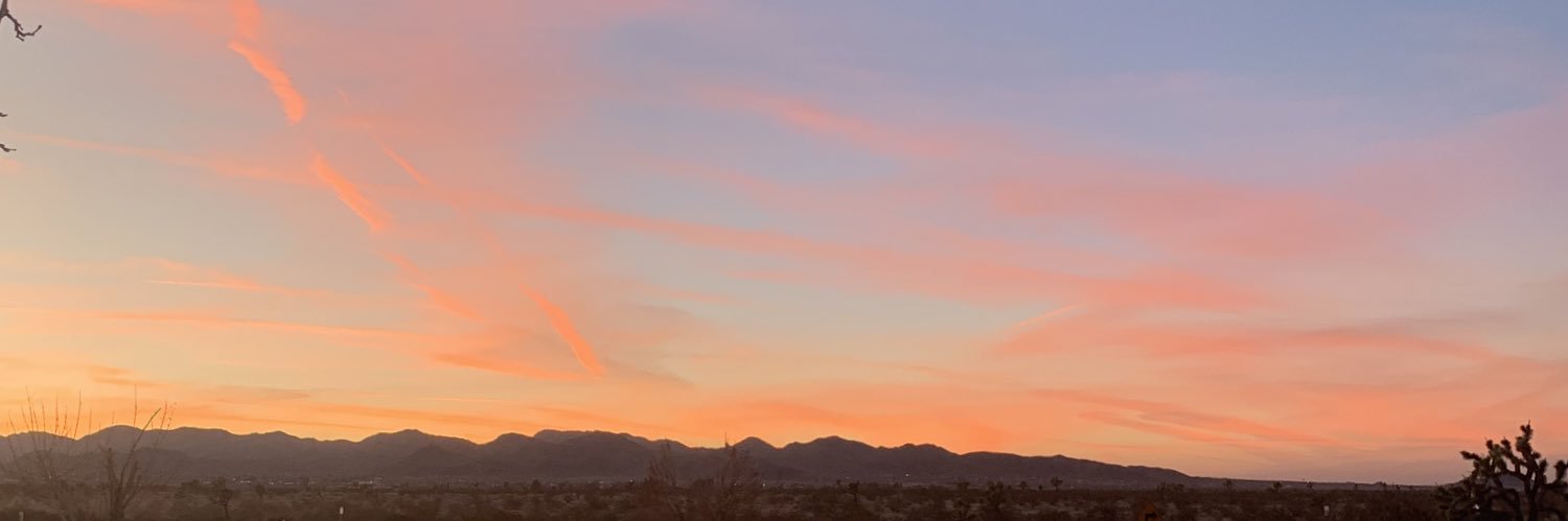 Tess Fenn 🌞 banner