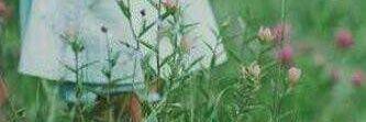 UmSuger's profile banner image