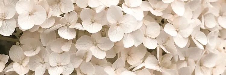emmddddddd's profile banner image
