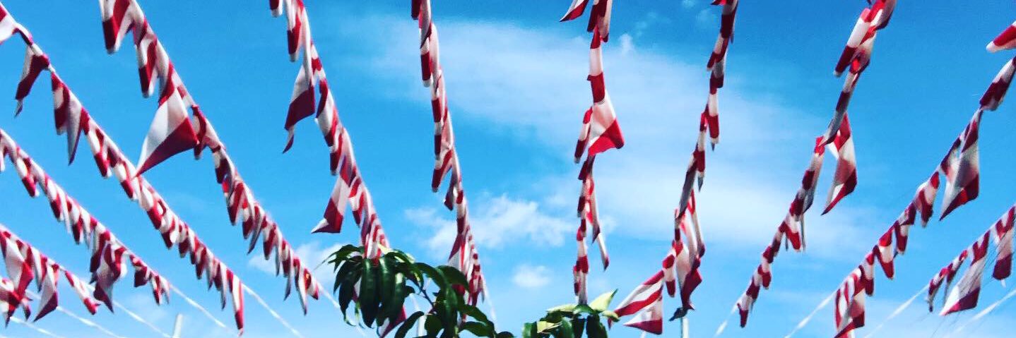 rachsimpp's profile banner image