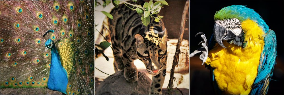 PrescottZoo's profile banner image