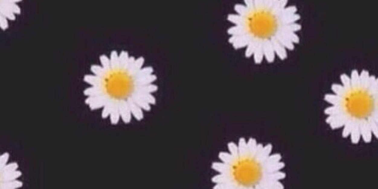 adriananickole's profile banner image