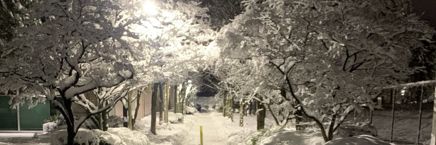 Shane🏳️‍🌈 banner