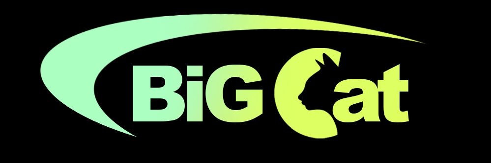BIGcaT🐈 banner