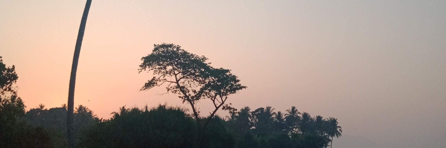 lestariwidyass's profile banner image
