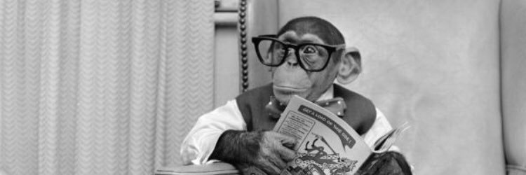 Mike Pellerito banner