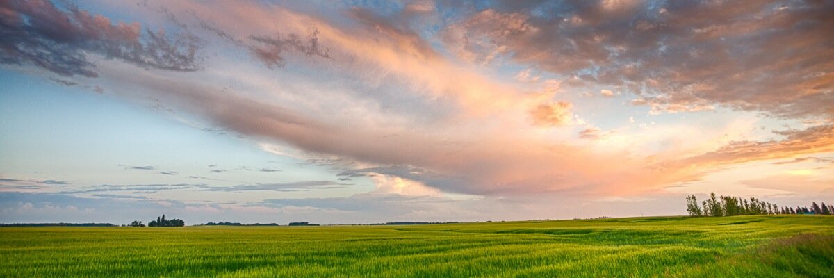 SFlanagan_'s profile banner image