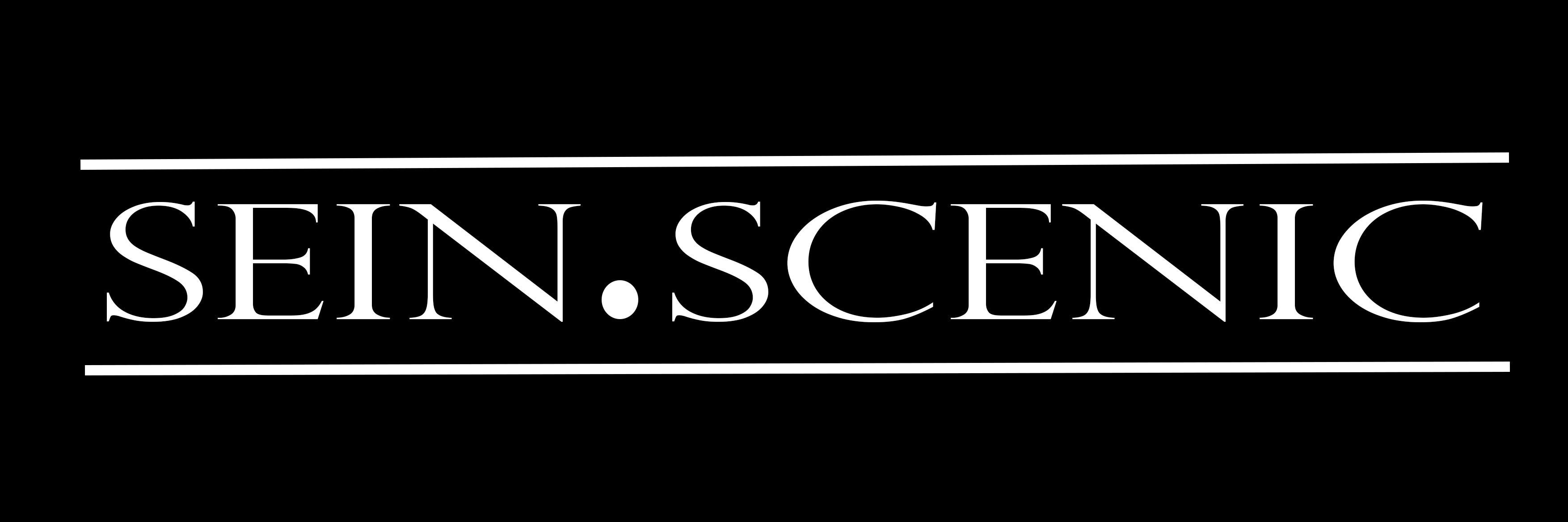 seinscenic's profile banner image