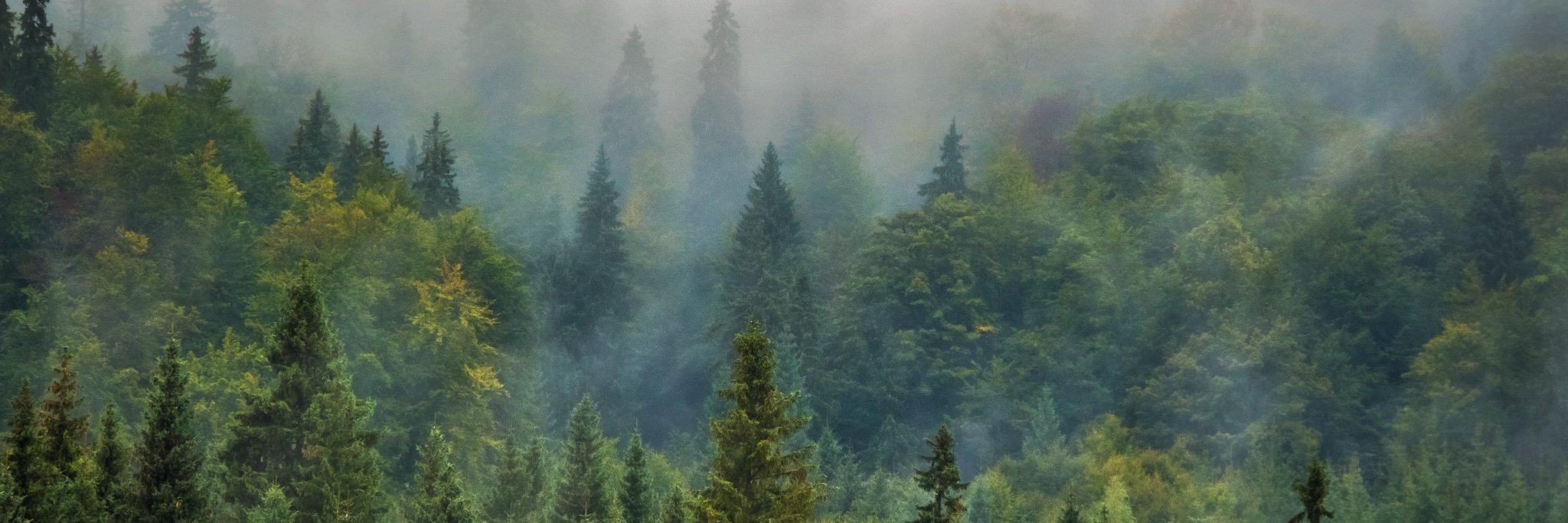 TheLandsCouncil's profile banner image