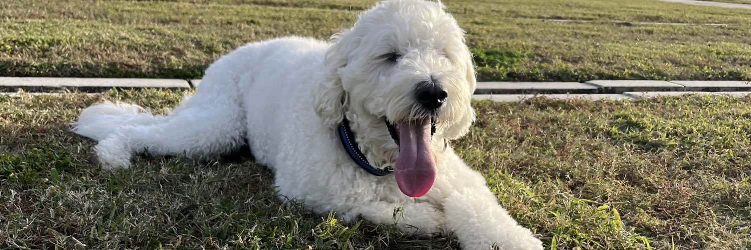 Mike Harrison banner