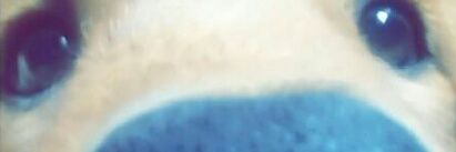 CrisbeyAndrea's profile banner image