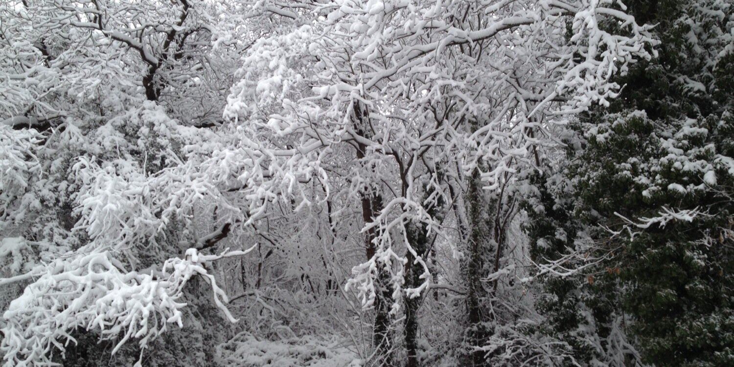 Jason Lintern banner