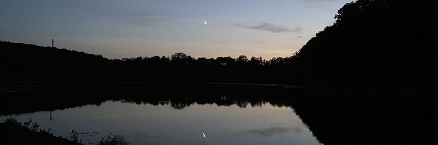 _likealaura_'s profile banner image