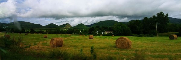 LeMyrn Profile Banner