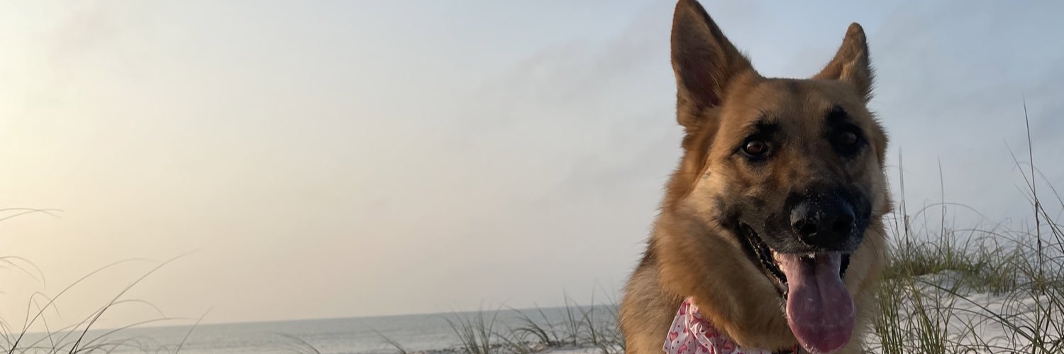 alexmessmore's profile banner image