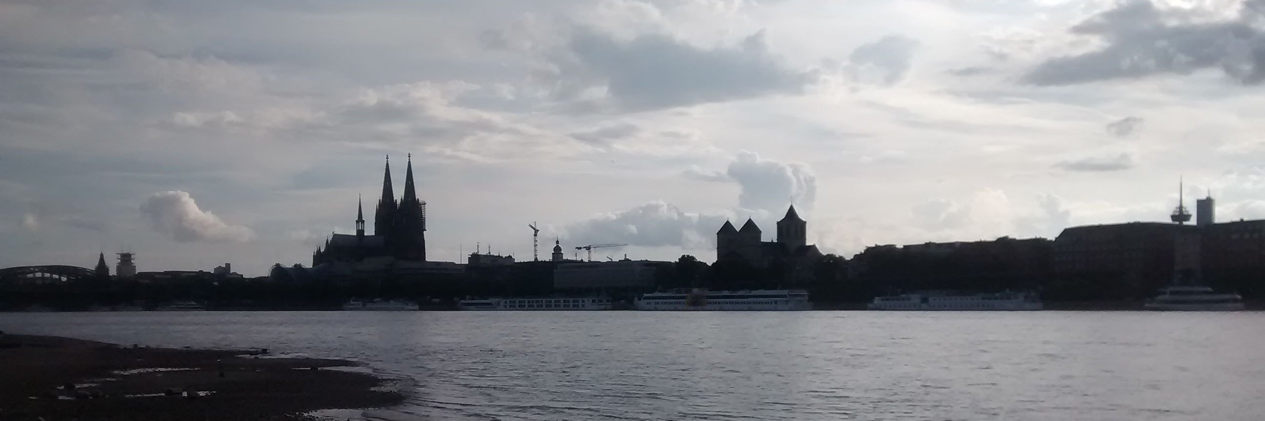 Stefano Ronchi banner