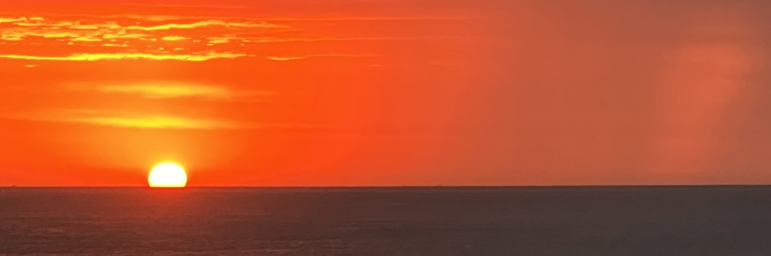 dikasheep's profile banner image
