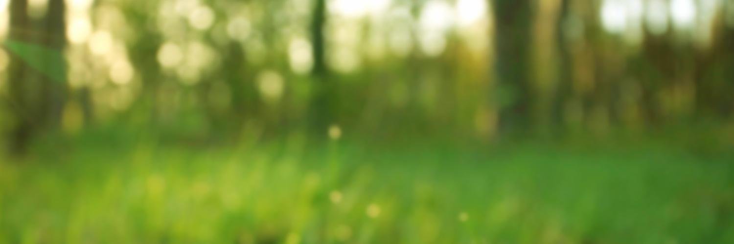 Typed for Mac banner