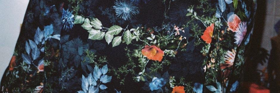Eléonore banner