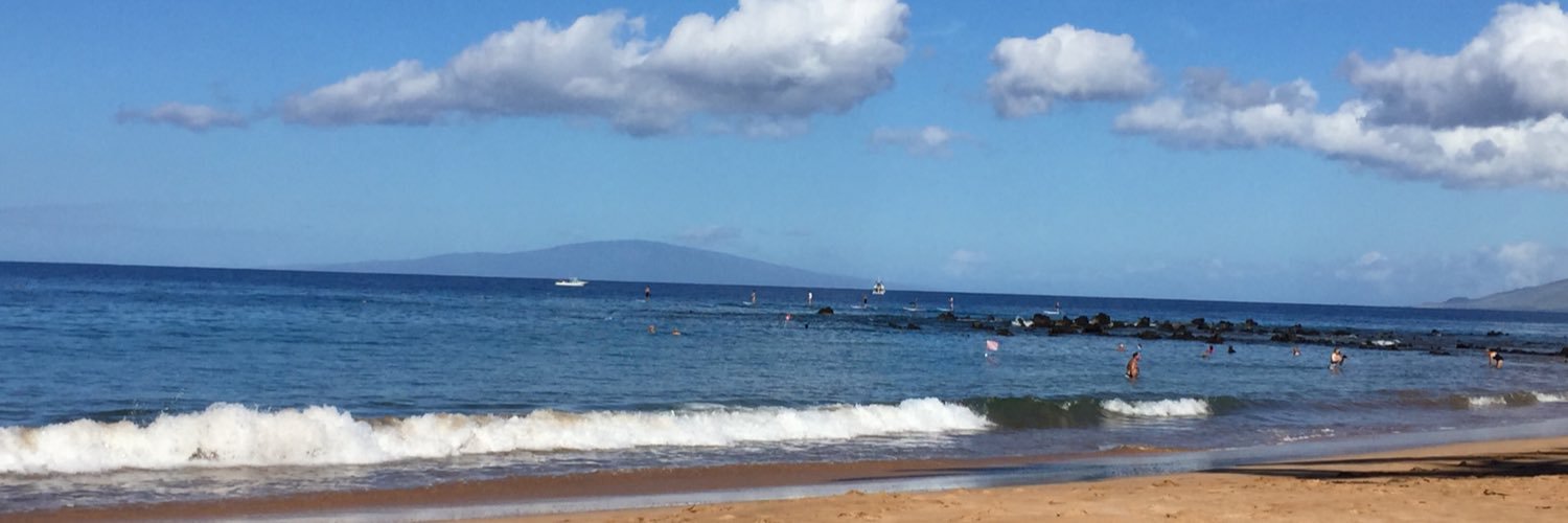 Venetia Burgess banner