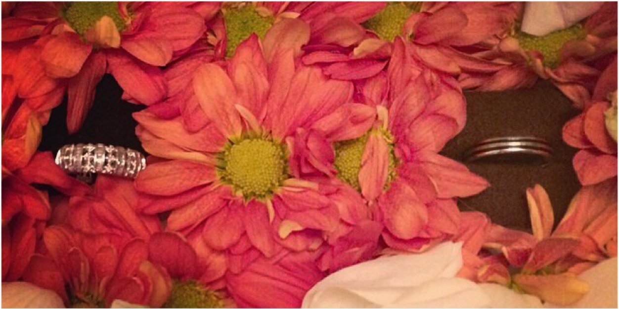 BeeBusbait's profile banner image