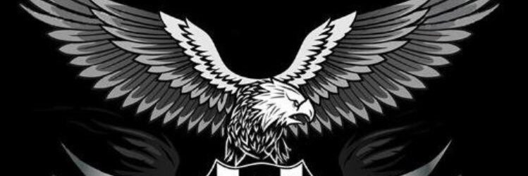 HidoARSLAN's profile banner image