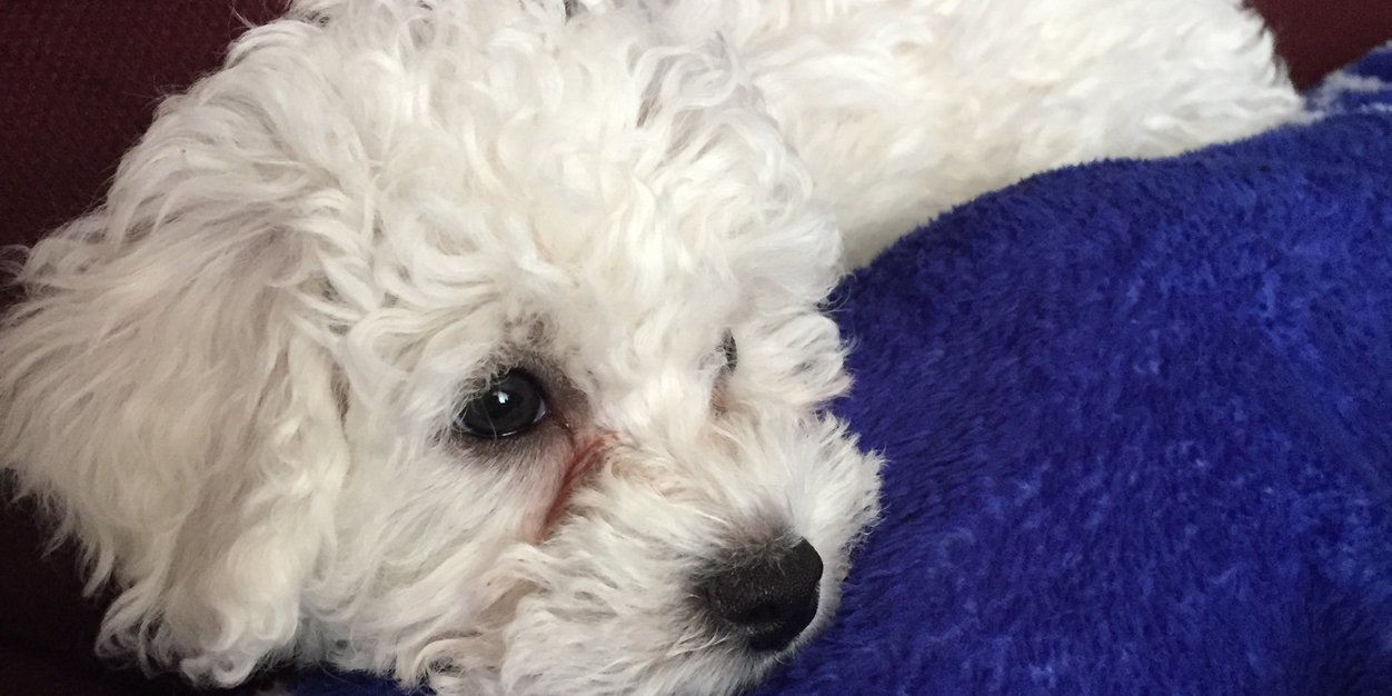 d_demonteee's profile banner image