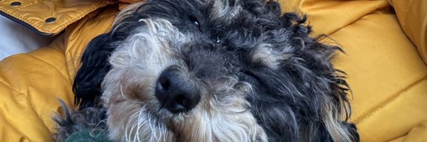 flordecanelie Profile Banner