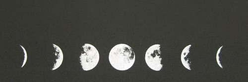 mancuso_sl's profile banner image