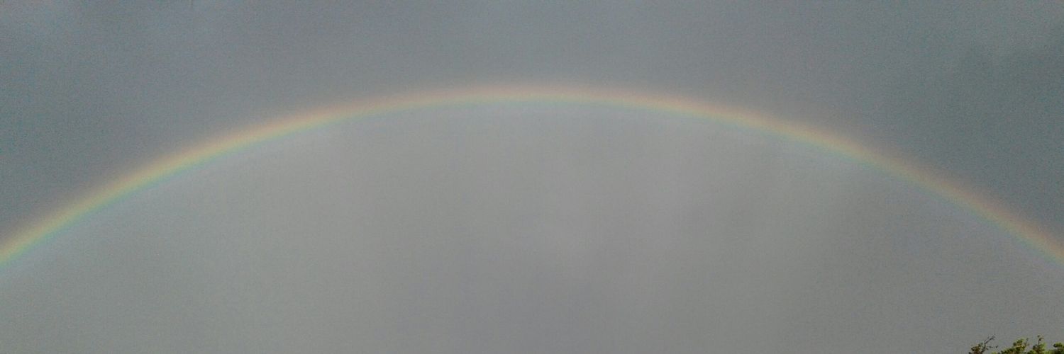 RocioVico_'s profile banner image