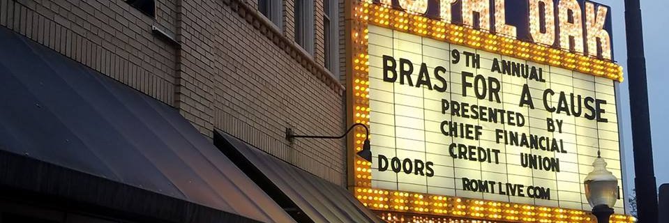 Chief Financial CU banner