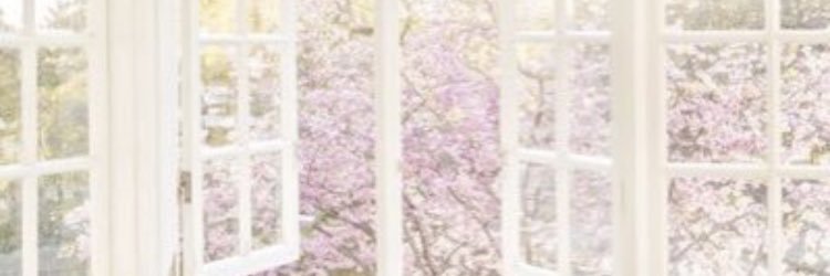 anyn111's profile banner image