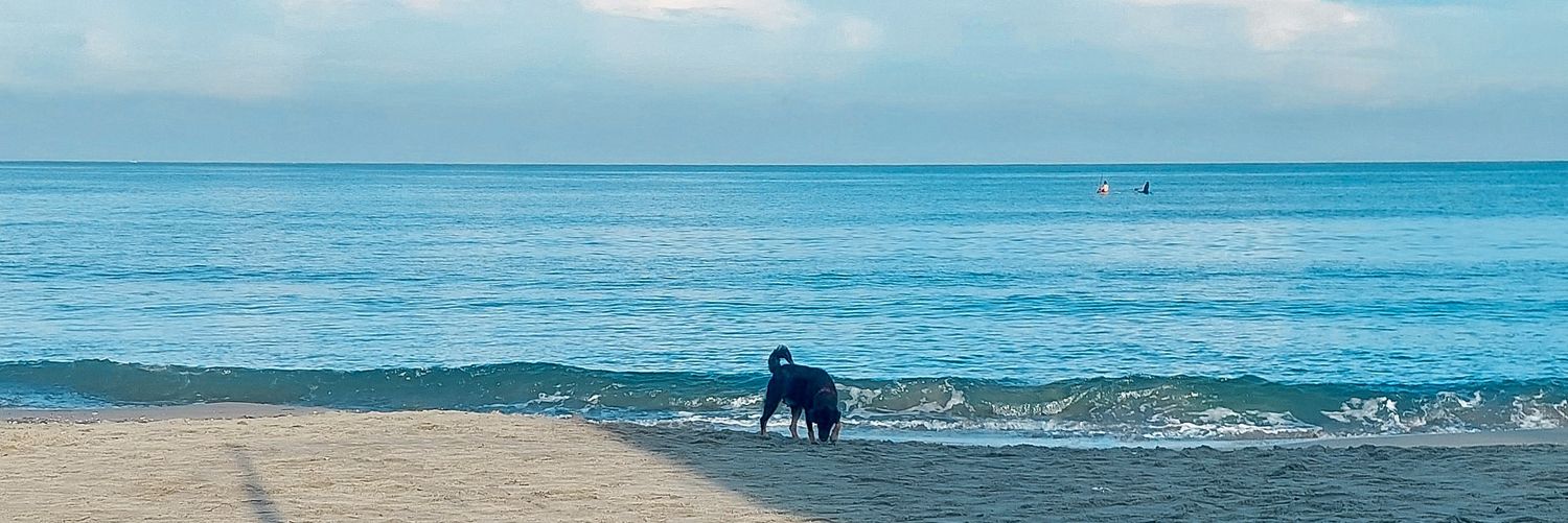keipreysius's profile banner image