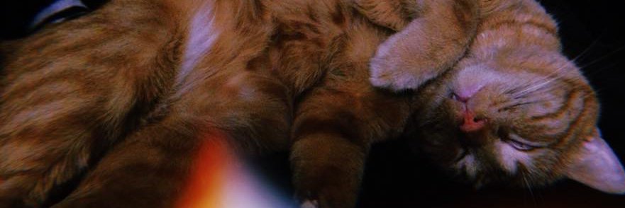 _JacobJensen's profile banner image