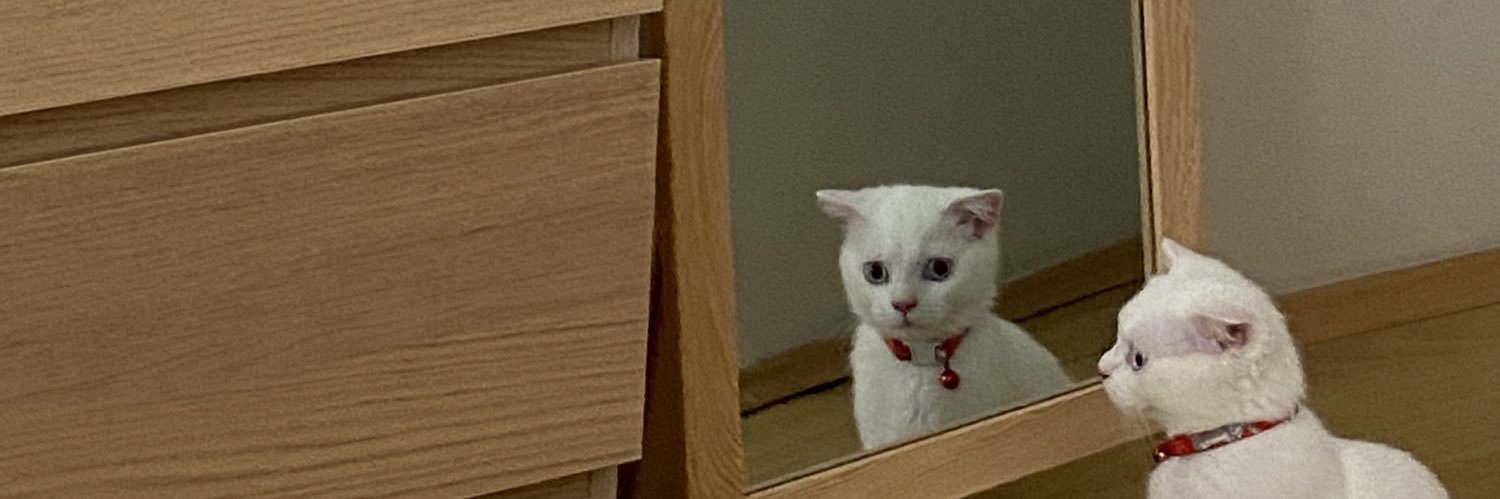 yogurtlu biber banner