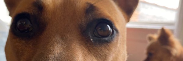 important Profile Banner
