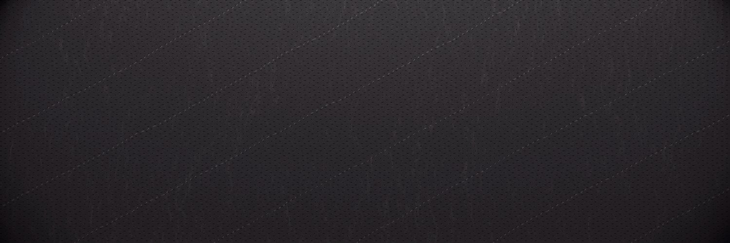 Ангелина Жолдина banner