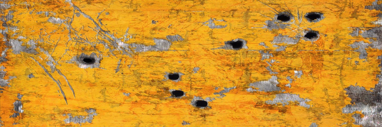 Линда Ляпина banner
