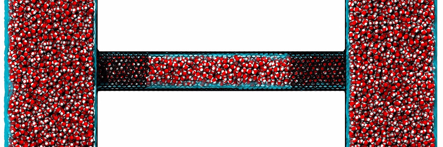 MicroNanoFlows banner