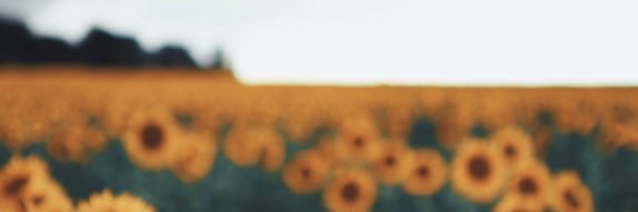 MadisonWood__'s profile banner image
