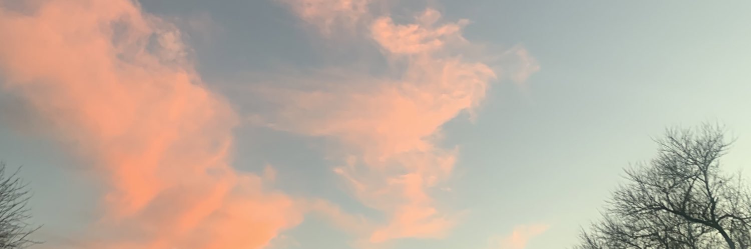 audreyboren's profile banner image