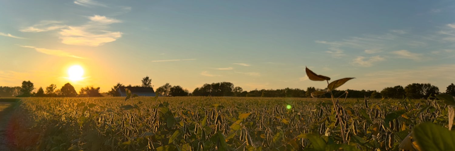 JD banner